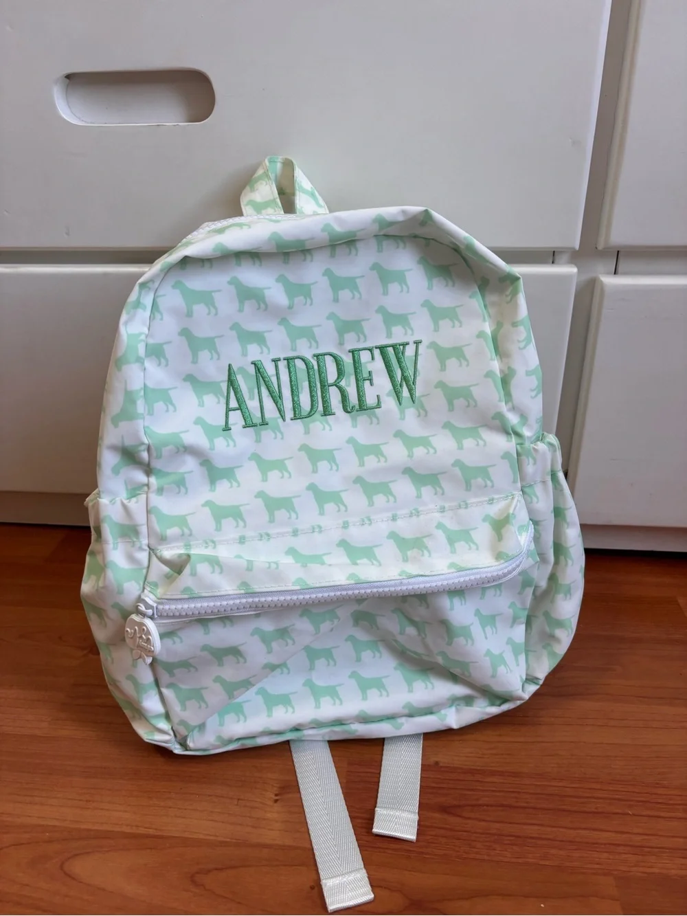 Personalized Kids Backpack - Mint Dog Print with Andrew Embroidery
